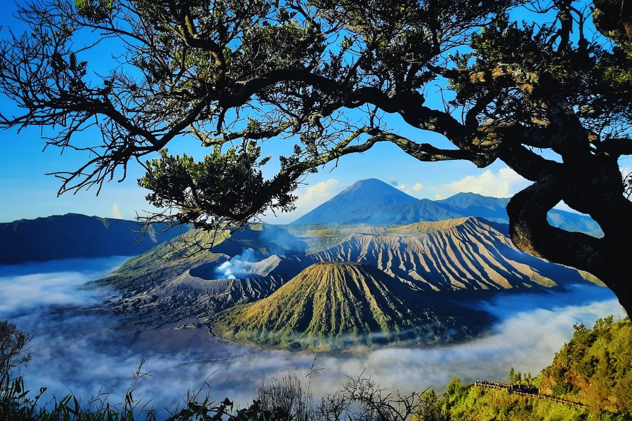 gunung bromo 15