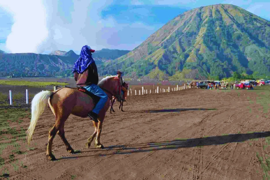 lautan pasir 15